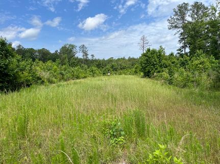 Property for sale in LaSalle Parish, Louisiana