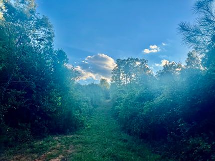 Undeveloped Land for sale in Covington County, Mississippi