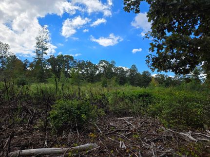 Timberland Property for sale in Cherokee County, Alabama