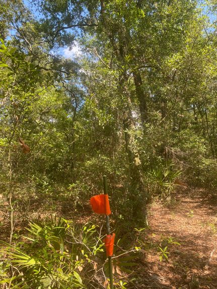 Ranch Property for sale in Putnam County, Florida