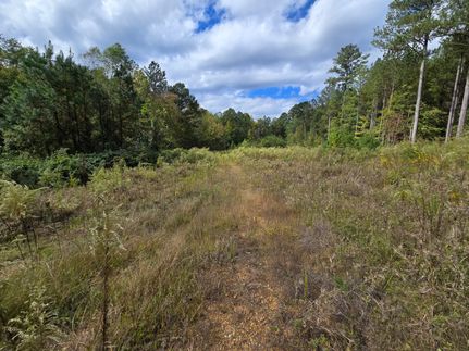 Farm Property for sale in Cherokee County, Alabama