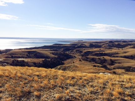 Property for sale in Williams County, North Dakota