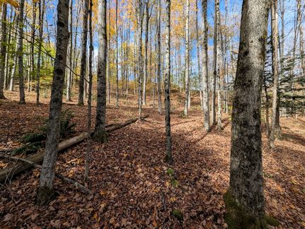 Timberland Property for sale in Steuben County, New York