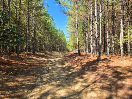 Timberland Property for sale in Cherokee County, Alabama