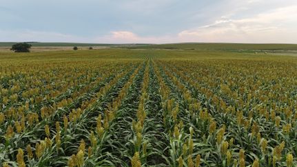 Property for sale in Tripp County, South Dakota