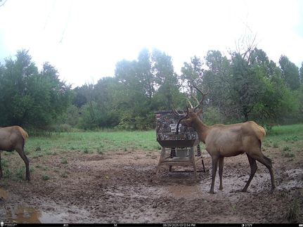 Riverfront Property for sale in Pittsburg County, Oklahoma