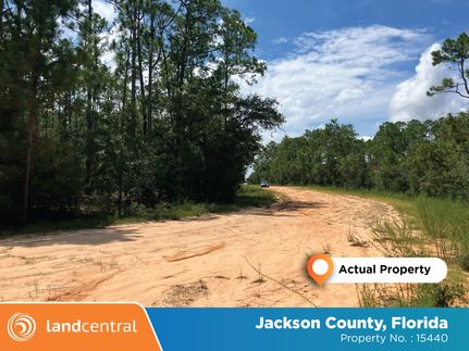 Undeveloped Land for sale in Jackson County, Florida