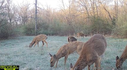 Undeveloped Land for sale in Randolph County, Missouri