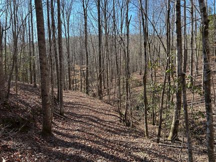 Property in Marion County, Alabama