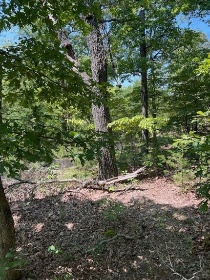 Timberland Property for sale in Camden County, Missouri