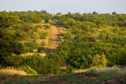 Ranch Property for sale in Callahan County, Texas