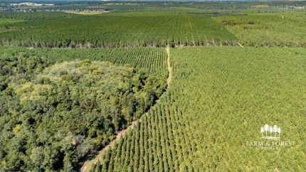 Timberland Property for sale in Jackson County, Florida