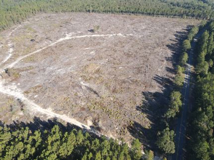 Farm Property for sale in Escambia County, Alabama