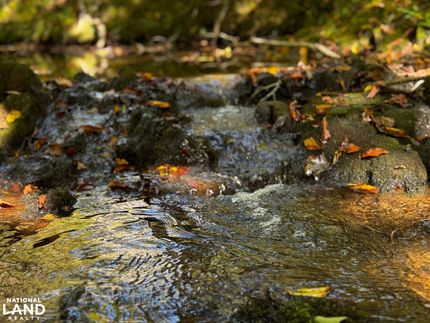 Hunting Land for sale in Lunenburg County, Virginia