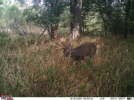 Property for sale in Cumberland County, Illinois