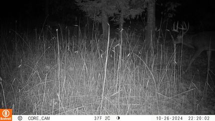 Recreational Property in Langlade County, Wisconsin