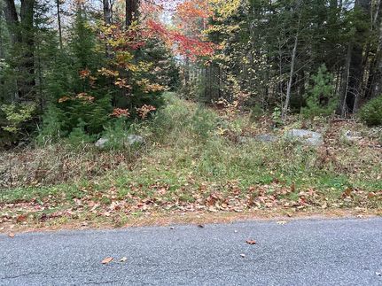 Timberland Property for sale in Lincoln County, Maine