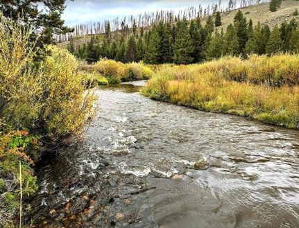 Recreational Property in Albany County, Wyoming