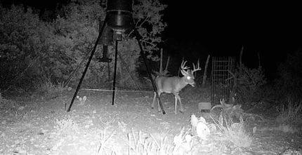 Ranch Property for sale in Edwards County, Texas