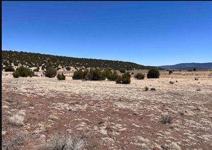 Farm Property for sale in Catron County, New Mexico