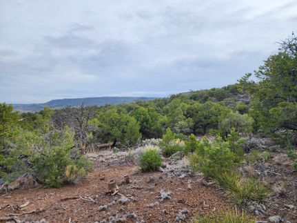 Undeveloped Land for sale in Costilla County, Colorado
