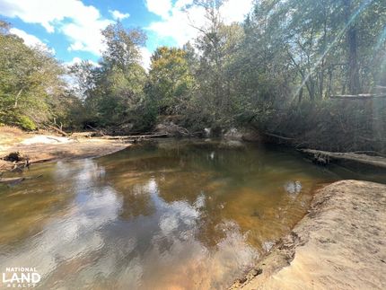 Ranch Property for sale in Dale County, Alabama