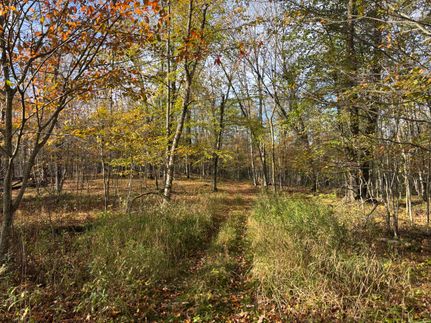 Timberland Property for sale in Polk County, Wisconsin