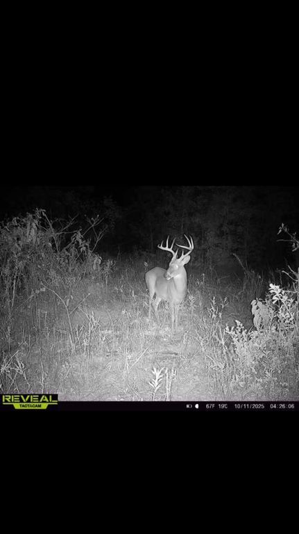 Commercial Property for sale in Decatur County, Georgia