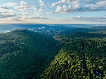 Timberland Property for sale in Marion County, Tennessee