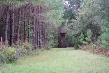 Property for sale in Williamsburg County, South Carolina