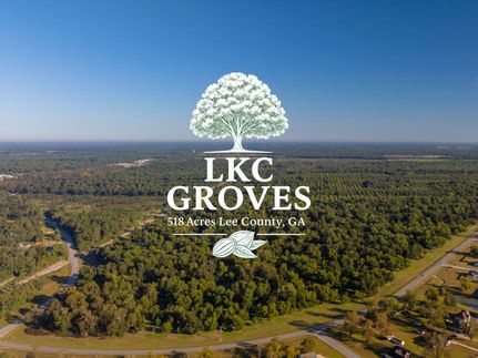 Undeveloped Land for sale in Lee County, Georgia