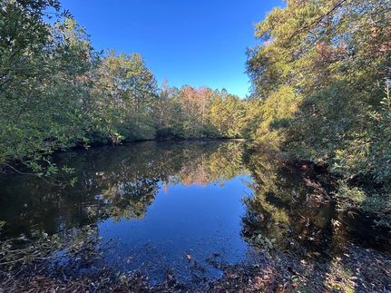 Property for sale in Twiggs County, Georgia