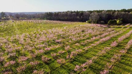 Property for sale in Franklin County, Georgia