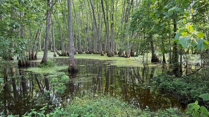 Ranch Property for sale in Pulaski County, Arkansas