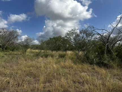 Farm Property for sale in Jim Wells County, Texas