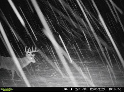 Property for sale in Cass County, Michigan