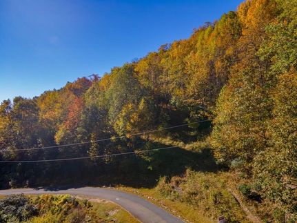 Property for sale in Carroll County, Virginia