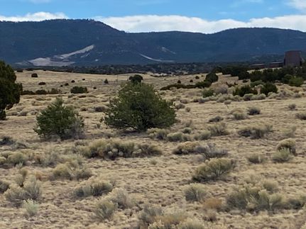 Undeveloped Land for sale in Catron County, New Mexico