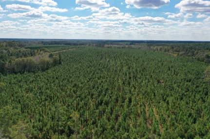 Farm Property for sale in Wheeler County, Georgia