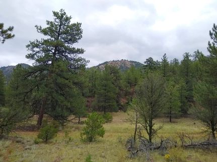 Hunting Land for sale in Fremont County, Colorado
