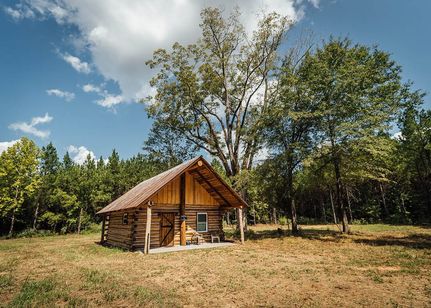 Undeveloped Land for sale in Lamar County, Alabama