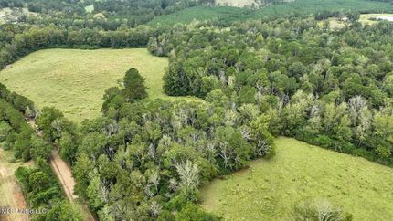 Undeveloped Land for sale in Jefferson Davis County, Mississippi