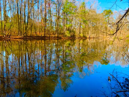 Ranch Property for sale in Spalding County, Georgia