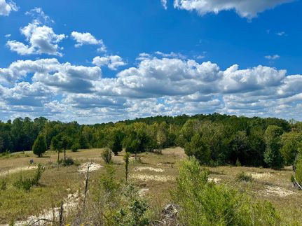 Farm Property for sale in Dallas County, Alabama
