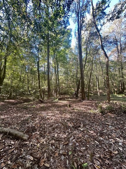 Property for sale in Montgomery County, Alabama