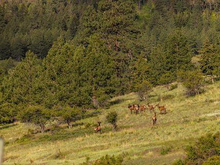 Recreational Property for sale in Ravalli County, Montana