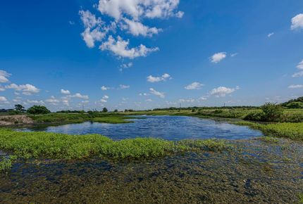 Farm Property for sale in Eastland County, Texas