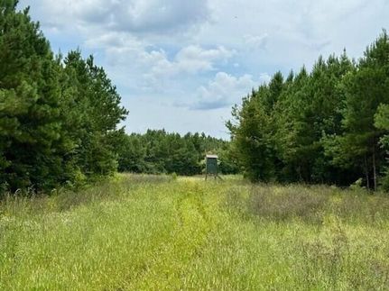 Undeveloped Land for sale in Lawrence County, Mississippi