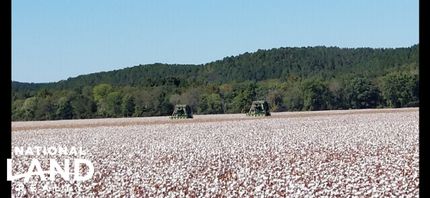 Property for sale in Franklin County, Alabama