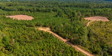 Property for sale in Chester County, Tennessee